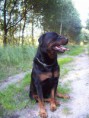/album/fotogalerij-max/a100-4206-jpg1/
